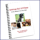 small child holding puppy